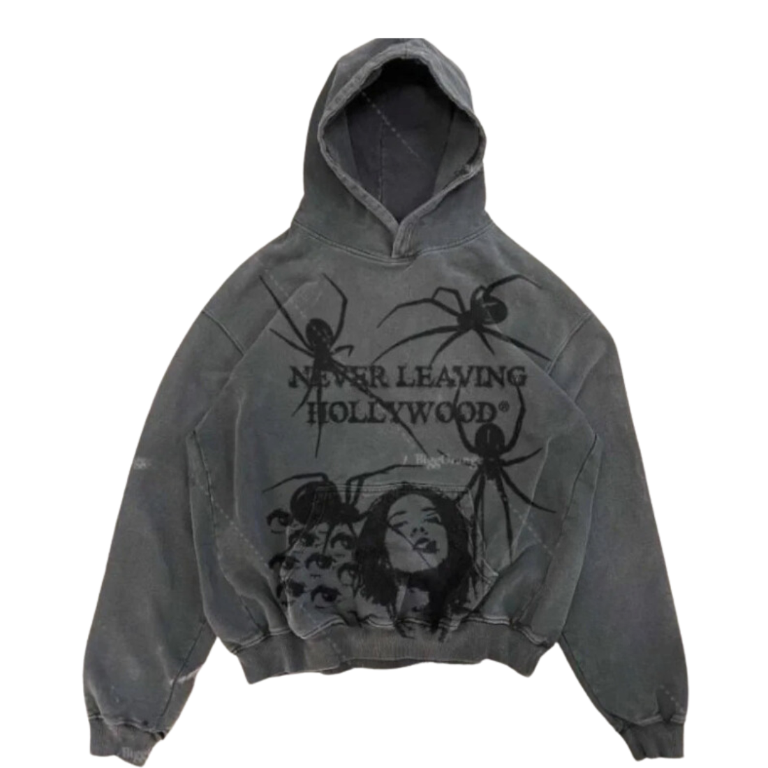 Spider Hollywood Y2K Hoodie